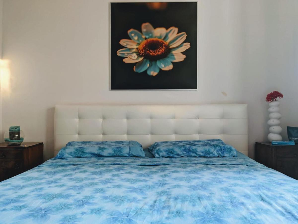 Glorianita Sweethome,Centro, Free Parking,Self Check- In Šibenik Exteriör bild